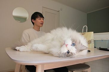 小金井市 S様様写真