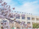 中野区立桃花小学校
