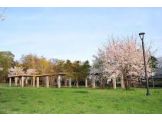 練馬区立大泉町もみじやま公園