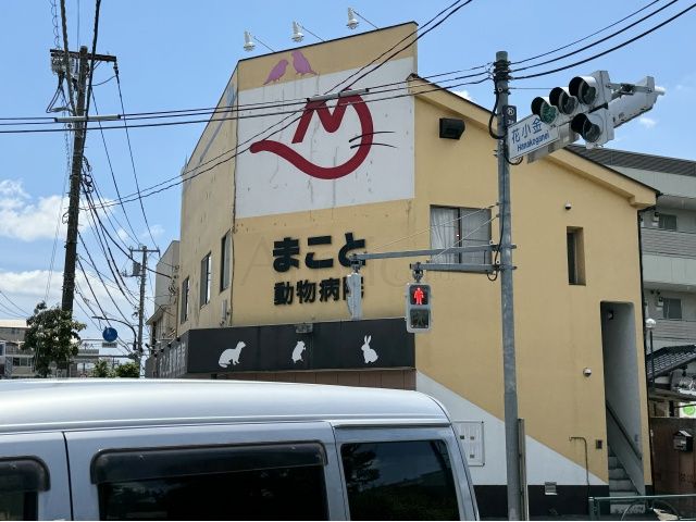 まこと動物病院