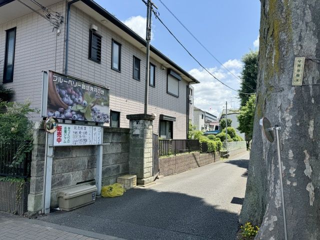 島村ブルーベリー園