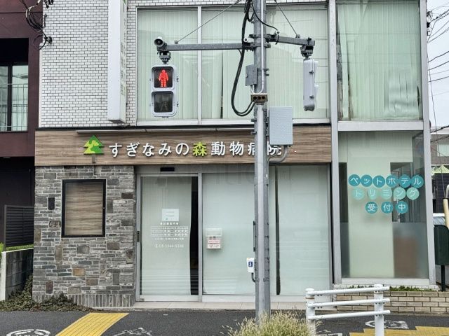 すぎなみの森動物病院