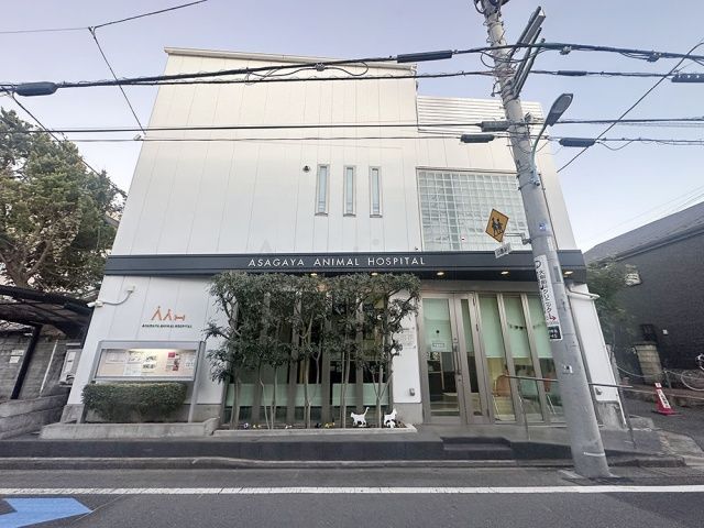 阿佐ヶ谷動物病院